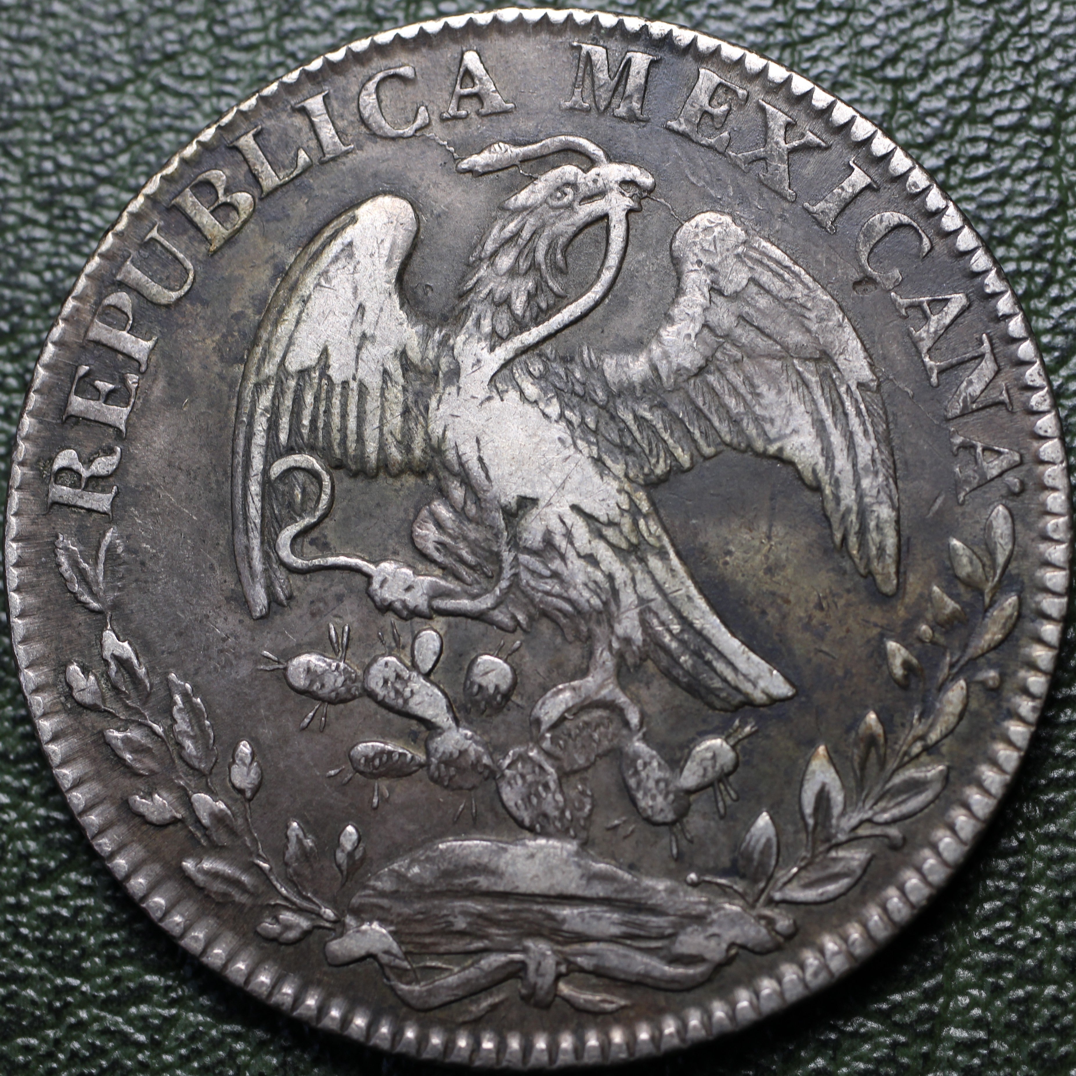 México 8 Reales 1831 Go MJ - (Ex-Bob "Swamperbob" Gurney)