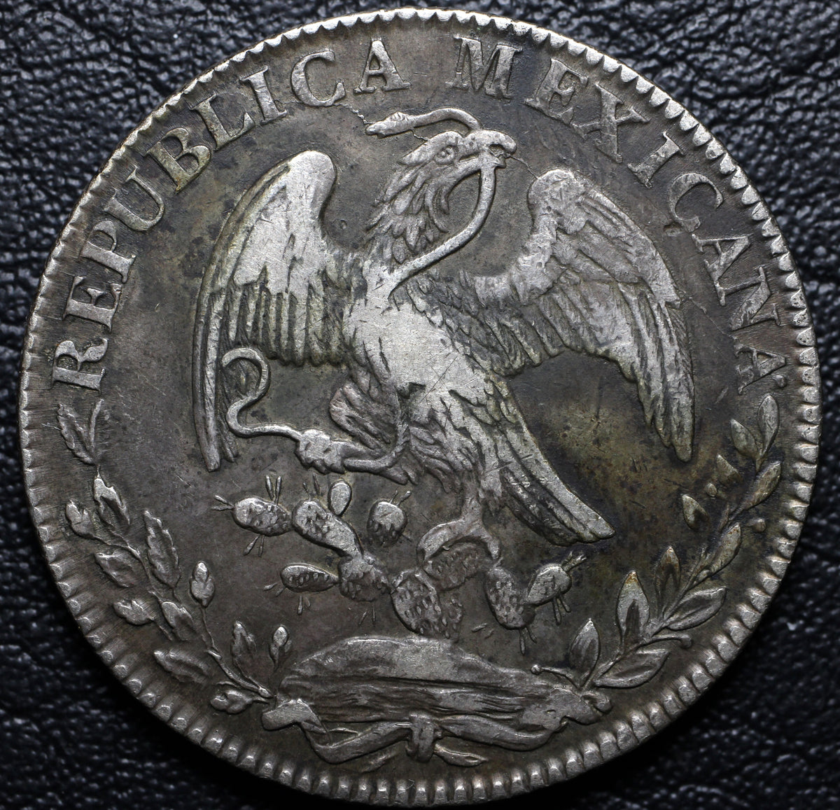 México 8 Reales 1831 Go MJ - (Ex-Bob "Swamperbob" Gurney)